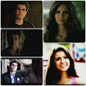 Meet your Posher, Elissa